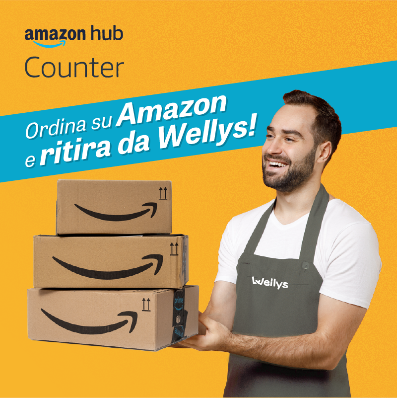 Wellys_Amazon-hub