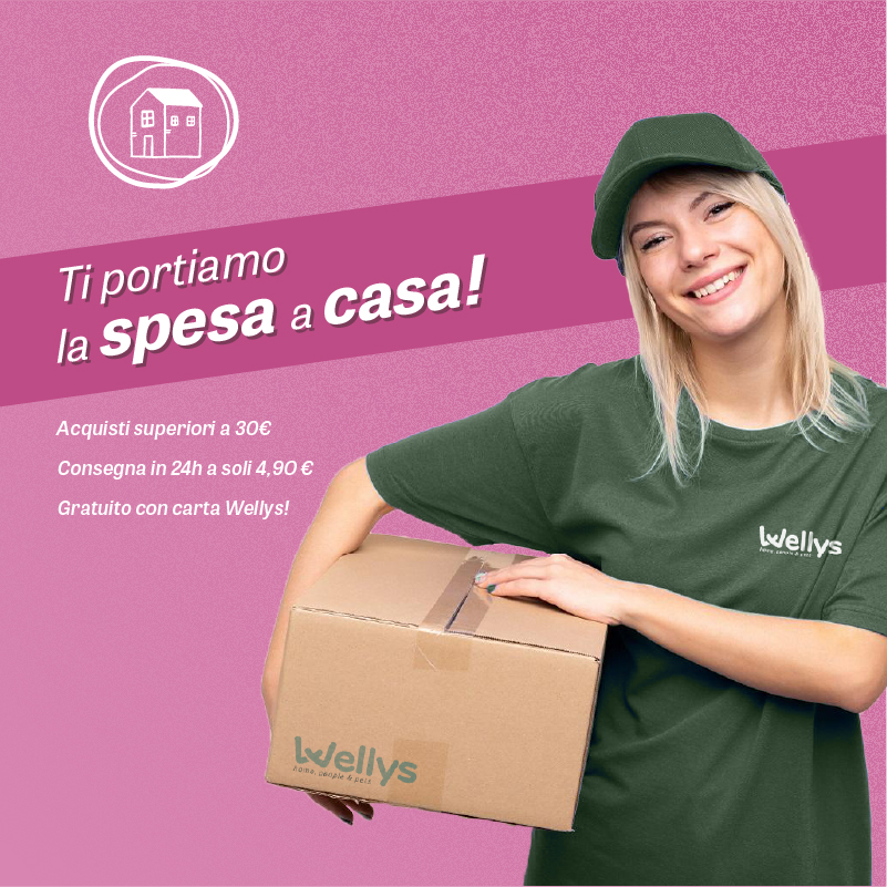 Wellys servizi: consegna a domicilio